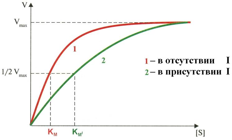 Они не специфичны к определенным ферментам - student2.ru