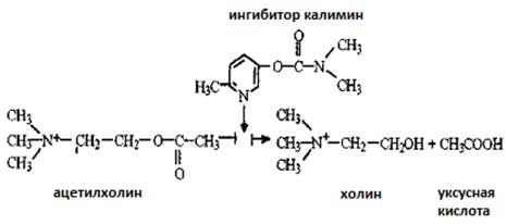 Определение активности α-амилазы слюны по Вольгемуту. - student2.ru