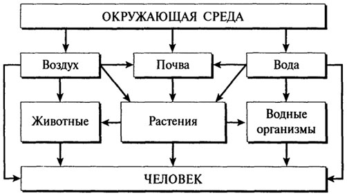 Определение общего содержания влаги - student2.ru