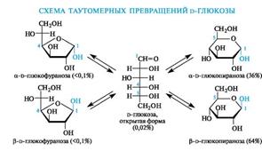 Оптическая изомерия гексоз. (хз что писать) - student2.ru