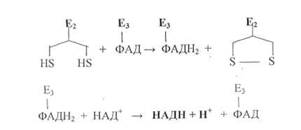 Превращение пирувата в ацетил-КоА - student2.ru