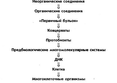 Основные направления эволюции биосферы - student2.ru