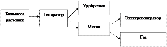 Основные тенденции их развития - student2.ru