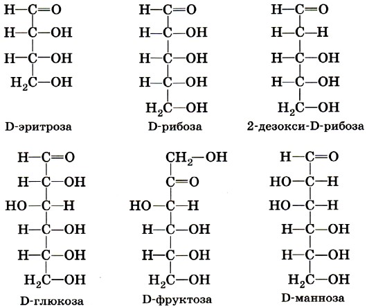 Основные углеводы организма человека, классификация, биологическая роль. Переваривание и всасывание углеводов в органах пищеварительной системы. - student2.ru
