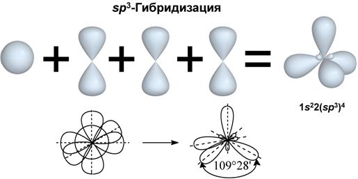 основы биоорганической химии - student2.ru