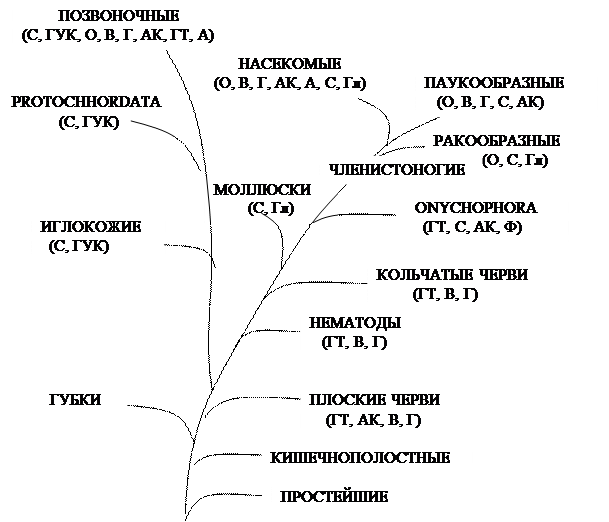 Особенности метаболизма ксенобиотиков - student2.ru