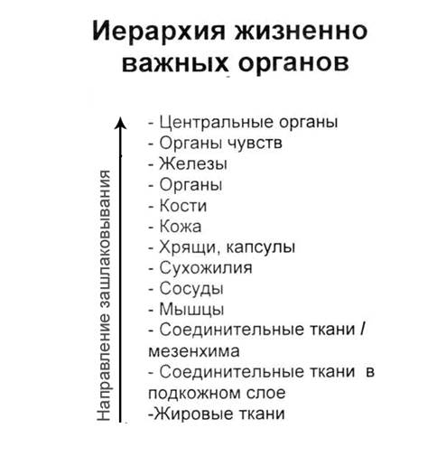 особенности шлакообразования при спортивных нагрузках - student2.ru