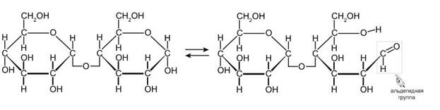 Особенности существования моносахаридов в водных растворах - student2.ru