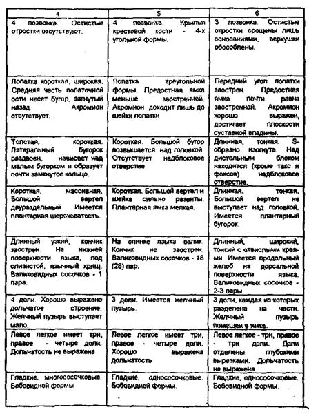 Отличительные признаки костей и внутренних органов - student2.ru