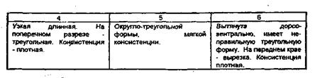 Отличительные признаки костей и внутренних органов - student2.ru