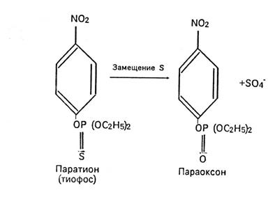 Отложение в жировых тканях - student2.ru