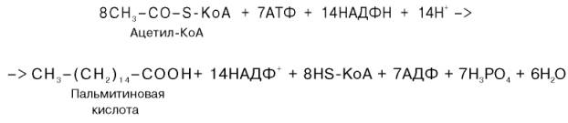 Ответ к задаче №6 ЛИПОГЕНЕЗ- процесс, при котором глюкоза и другие вещества из содержащихся в пище углеводов превращаются в организме в жирные кислиоы - student2.ru