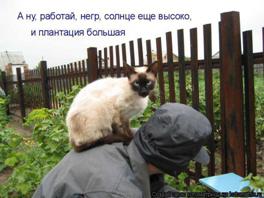 Ответ на сообщение от Irsen, 12 мая 2012, 18:56 - student2.ru