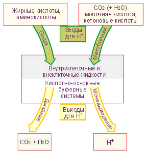 Парциальное давление углекислого газа - student2.ru