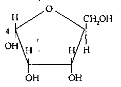 Пентозалар: рибоза, дезоксирибоза, ксилоза - student2.ru