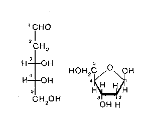 Пентозалар: рибоза, дезоксирибоза, ксилоза - student2.ru
