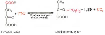 Пентозофосфатный путь превращения глюкозы - student2.ru