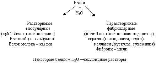 Пептидная связь и полипептиды. - student2.ru