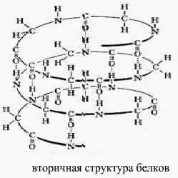 Пептидная связь и полипептиды. - student2.ru