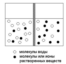 Переход растворителя через полупроницаемую мембрану из менее концентрированного раствора в более концентрированный называется осмосом. - student2.ru