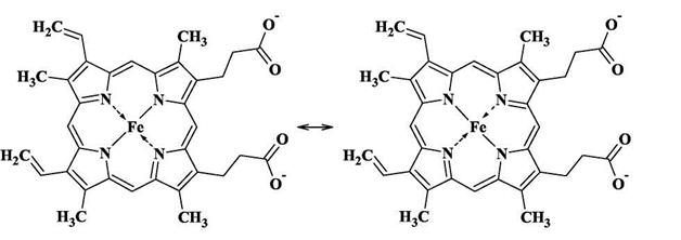 Переходные металлы в живых организмах; аминокислотные остатки как лиганды - student2.ru