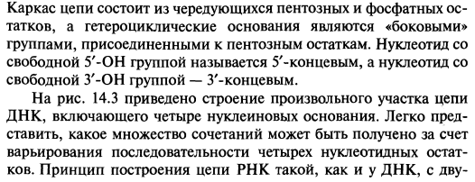 Первичная структура нуклеиновых кислот. Фосфодиэфирная связь. Рибонуклеиновые и дезоксирибонуклеиновые кислоты. - student2.ru