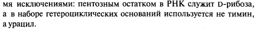 Первичная структура нуклеиновых кислот. Фосфодиэфирная связь. Рибонуклеиновые и дезоксирибонуклеиновые кислоты. - student2.ru