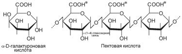 Пиранозные и фуранозные кольцевые структуры моносахаридов - student2.ru