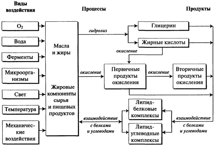 пищевая ценность масел и жиров - student2.ru