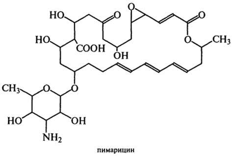 пищевые добавки, замедляющие микробиологическую и окислительную порчу пищевого сырья и готовых продуктов - student2.ru