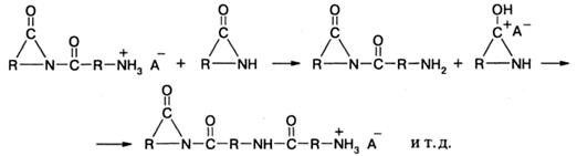 Полимеризация лактамов и лактонов - student2.ru