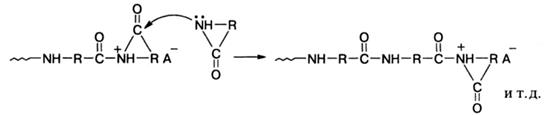 Полимеризация лактамов и лактонов - student2.ru