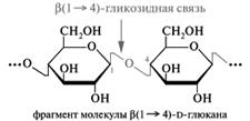 Полисахариды: классификация; принцип строения гомополисахаридов на примере крахмала (амилоза, амилопектин), тип гликозидной связи; отношение крахмала к гидролизу - student2.ru