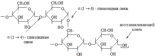 Полисахариды: классификация; принцип строения гомополисахаридов на примере крахмала (амилоза, амилопектин), тип гликозидной связи; отношение крахмала к гидролизу - student2.ru