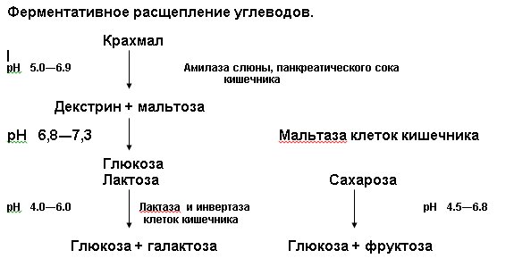 Полисахариды, строение, источники, основные представители, их биохимические функции - student2.ru