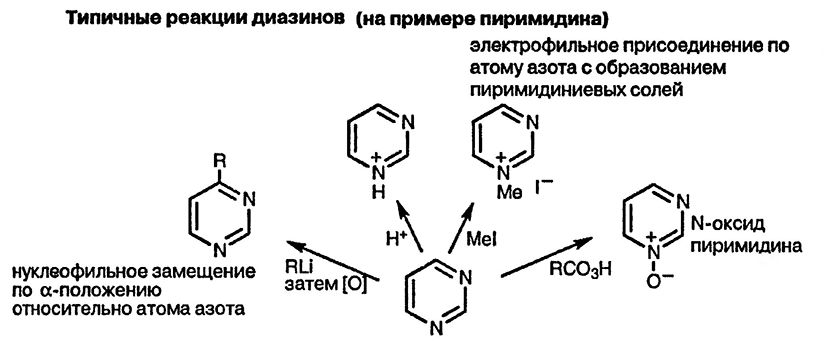 Получение замещенных дигидропиримидов. Реакция Бядженелли - student2.ru