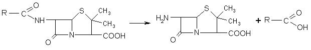 Полусинтетические пенициллины - student2.ru