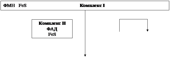 Понятие анаболизма и катаболизма. Основные этапы. Характеристика метаболических путей превращения основных классов органических веществ - student2.ru