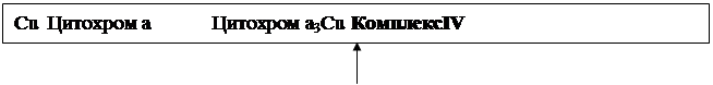 Понятие анаболизма и катаболизма. Основные этапы. Характеристика метаболических путей превращения основных классов органических веществ - student2.ru