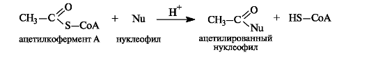 Понятие о взаимном влиянии атомов в молекуле, электронные эффекты (положительные и отрицательные индуктивный и мезомерный эффекты). - student2.ru