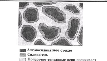 Поперечное сшивание молекул поликислот трехвалентными ионами алюминия с образованием пространственной структуры полимера - student2.ru