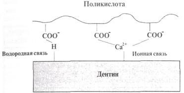 Поперечное сшивание молекул поликислот трехвалентными ионами алюминия с образованием пространственной структуры полимера - student2.ru