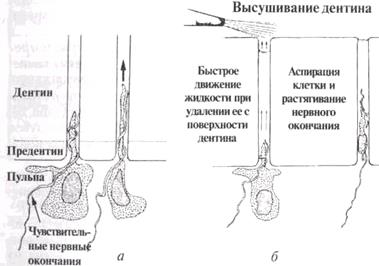 Поперечное сшивание молекул поликислот трехвалентными ионами алюминия с образованием пространственной структуры полимера - student2.ru