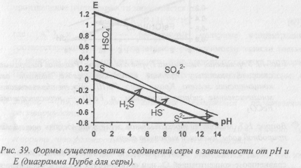 Потенциал – определяющие компоненты природных вод - student2.ru