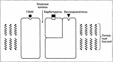 Потенцируют действие наркозных и анальгезирующих средств. - student2.ru