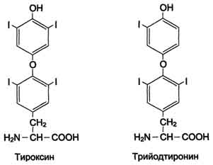 Превращение тирозина в меланоцитах - student2.ru