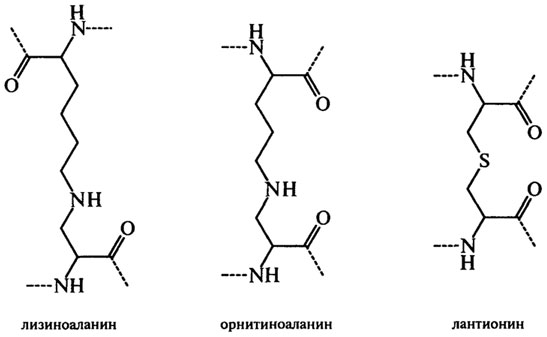 превращения белков в технологическом потоке - student2.ru