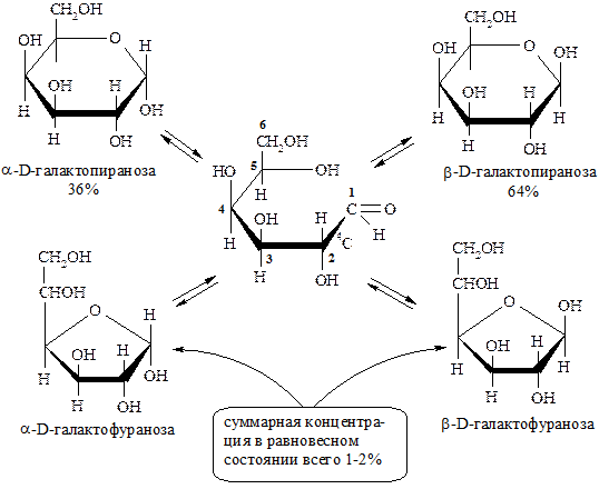 При переходе от ациклической формы в полуацетальную углеродный атом карбонильной группы превращается в асимметрический и поэтому в молекуле число таких атомов увеличивается на 1. - student2.ru