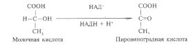 Примерная тематика сообщений и рефератов - student2.ru