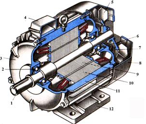 Принцип действия асинхронной машины - student2.ru